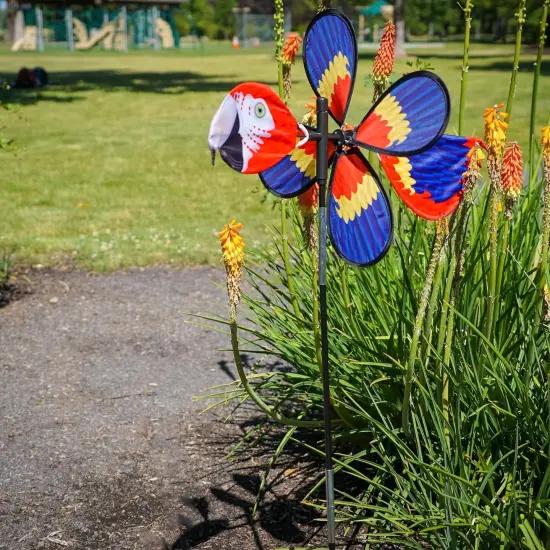 Pivoting Parrot Bird Spinner {2}
