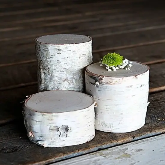 Wilson White Birch Pillars (Set of 3 - Varied Heights) {3}