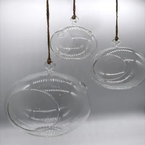 Hanging Glass Globe {7}