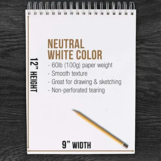 9" x 12" Top Spiral Bound Sketch Book Pad, Pack of 2, 100 Sheets Each, 60lb (100gsm) - Artist Sketching Drawing Pad, Acid-Free - Graphite Colored Pencils, Charcoal - Adults, Students {4}