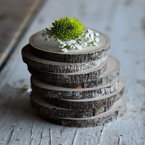 Basswood Coasters (Set of 8) {3}