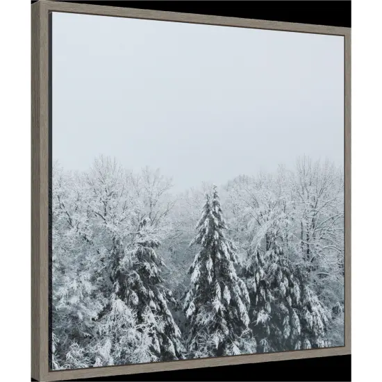 Snowshoe Hill Deep Crop by Sue Schlabach Framed Canvas Wall Art {3}