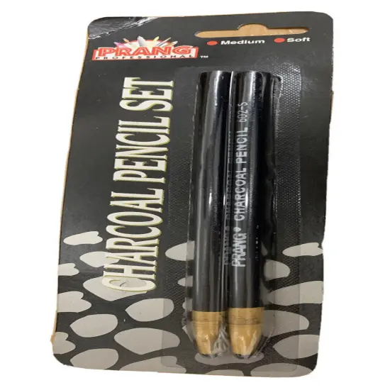 2 Pcs Drawing Artist Set Pencils & Sketch Charcoal Art {1}