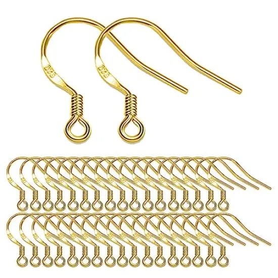 80 Pieces/40 Pairs, Gold Earring Hooks Ear Wires Fish Hooks, 240pcs Hypo-allergenic Jewelry Findings Parts with Jump Rings and Clear Silicone Earring Backs Stoppers for DIY Jewelry Making (14K Gold) {3}
