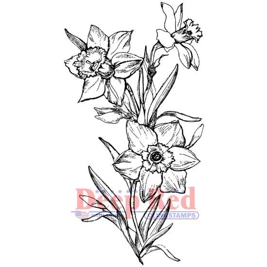 Deep Red Stamps Daffodils Rubber Cling Stamp2.25 x 4.1inches {1}
