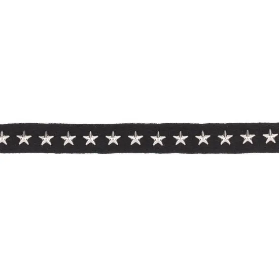 10 Yards of Danica 3/4" Wide Silver Star Sudded Tape Trim | 10 yard cut {1}