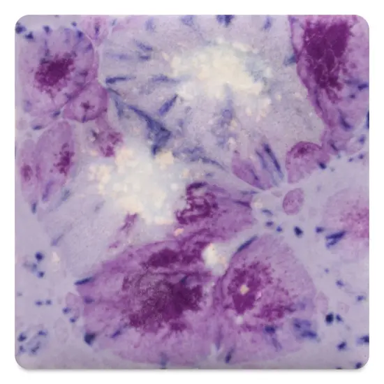 Mayco Jungle Gems Crystal Glaze - Purple Reign, Pint {1}