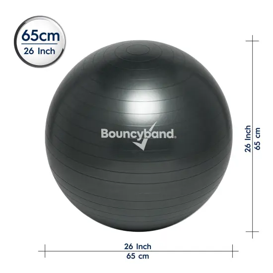 Balance Ball, 65cm, Dark Gray {3}