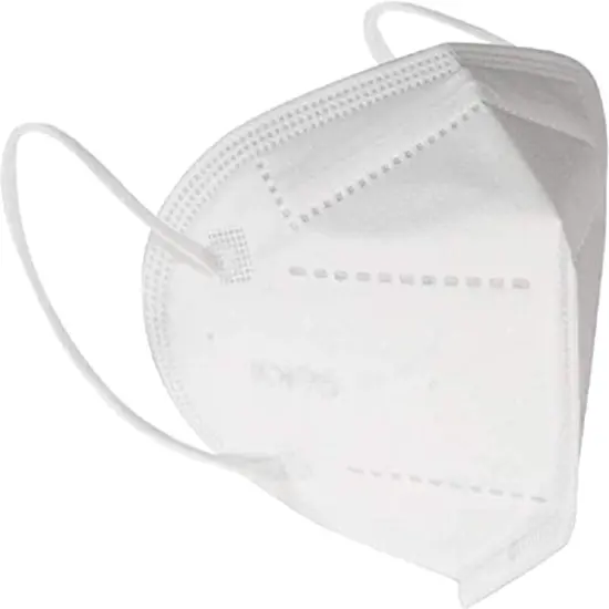 KN95 Rated Particulate Respirator Masks Without Exhalation Valve 2 Pack {1}