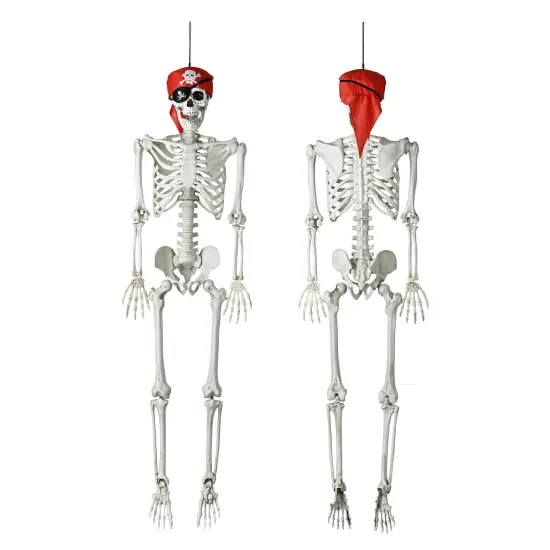 Halloween 5.4 FT Skeleton Bones {2}