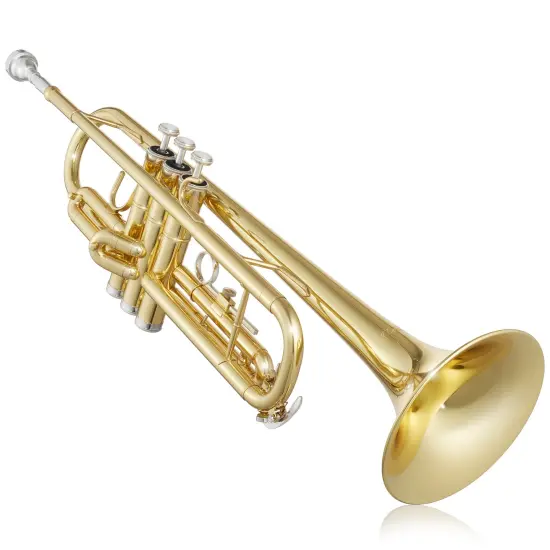 Ashthorpe Standard Bb Trumpet - Includes Case, Mouthpiece, Gloves, Cleaning Cloth, Valve Oil {2}