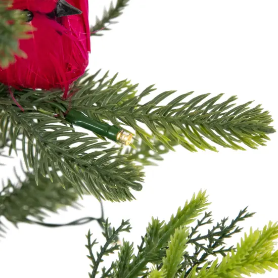 Northlight Pre-Lit LED Mixed Pine Potted Christmas Tree with Berries and Cardinals - 2' - Warm White Lights Green {5}