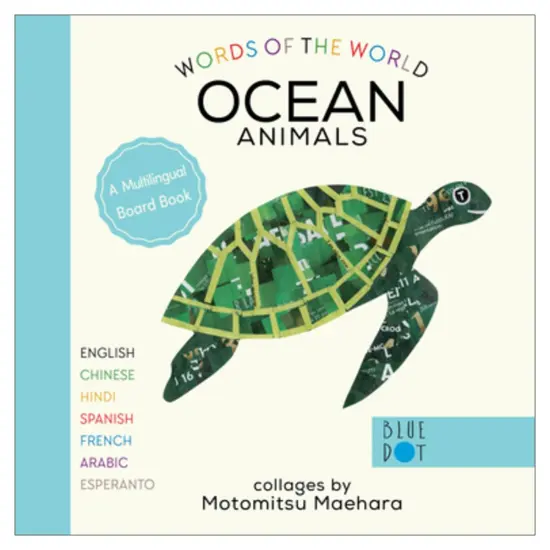 Ingram Publishers Words of the World Board Books - Set of 4 {5}