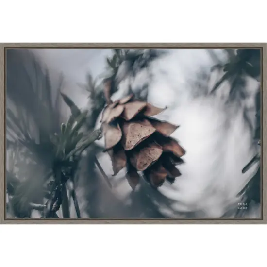 Tree with Pinecone Macro by Nathan Larson Canvas Art Framed {1}