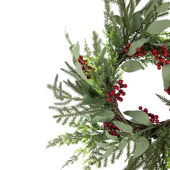 Northlight Mixed Foliage and Red Berries Artificial Christmas Wreath, 24-Inch, Unlit Green {4}