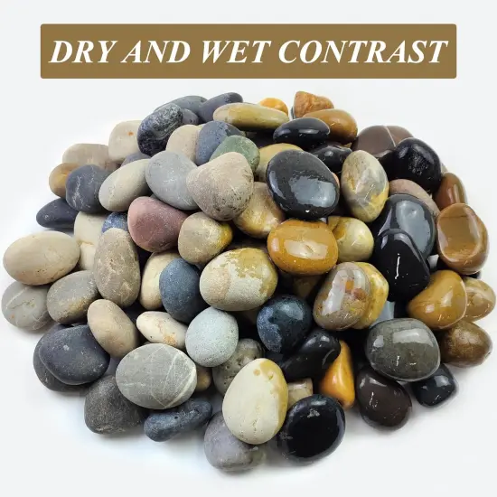 20 Lb Natural Unpolished Bulk Rocks Mexican Beach Pebbles, 2-3 Inch Decorative River Rocks for Landscaping Garden Paving Plant Rocks Crafting Walkways and Outdoor Decorative Stone {3}