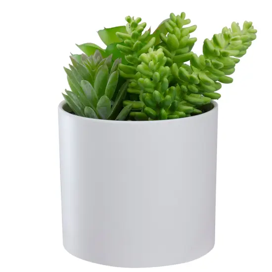 Northlight 5.5&rdquo; Mixed Artificial Succulent Arrangement in a White Pot Green {4}