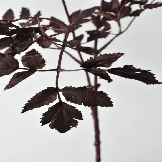 31" Faux Cimicifunga Ramosa Stem: Plum {2}