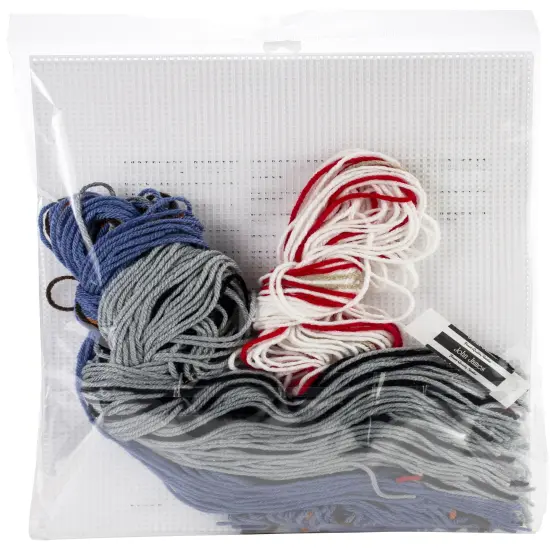 Mary Maxim Plastic Canvas Tissue Box Kit 5"-Let It Snow {2}