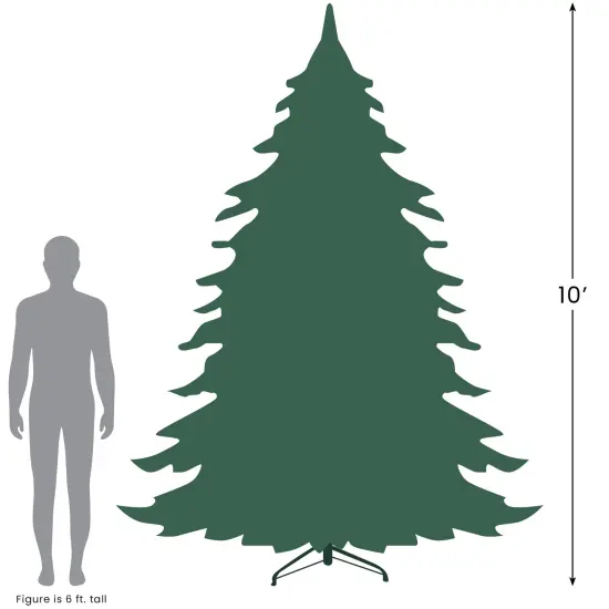 Northlight Pre-Lit Medium Canadian Pine Artificial Christmas Tree - 10' - Clear Lights Green {5}