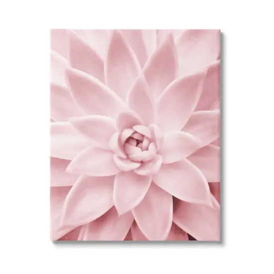 Stupell Industries Pastel Pink Succulent Canvas Wall Art {1}