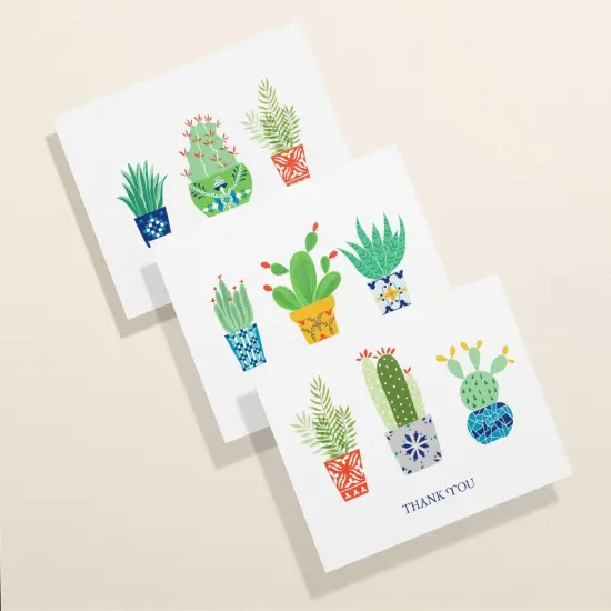 Succulent Thank You Card Set | All-Occasion Assorted Thank You Notes With Envelopes | 12, 24, 48, 96 {1}