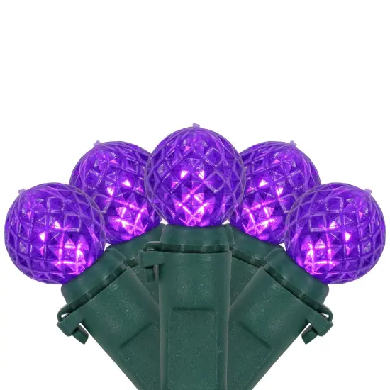 Northlight LED G12 Berry Christmas Lights - Purple - 16' Green Wire - 50 ct {1}