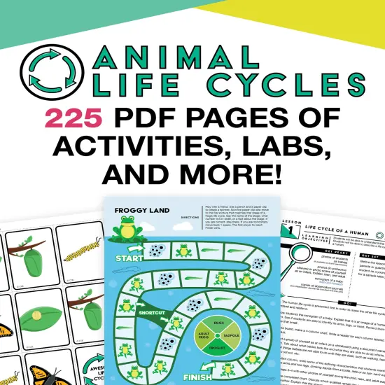 Carson Dellosa In A Flash Animal Life Cycle Instructional Resources&mdash;Flash Drive With Lessons, Journal, Templates, Posters, STEM Challenge, Life Cycle Charts, Animal E-Books, Grades K-2 (225 pgs) {1}