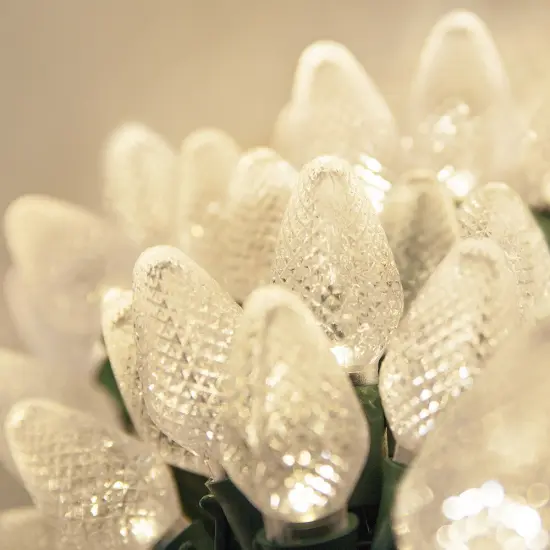 25 Warm White C7 LED Christmas Lights, Green Wire, 8" Spacing {2}