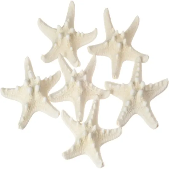Knobby Starfish 6 Pack Knobby Starfish White 3 to 4 inches {1}