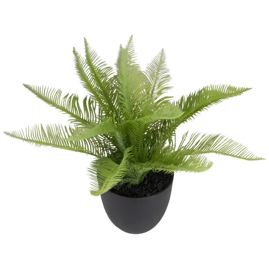 Northlight 12" Potted Green Artificial Pinus Plant {4}