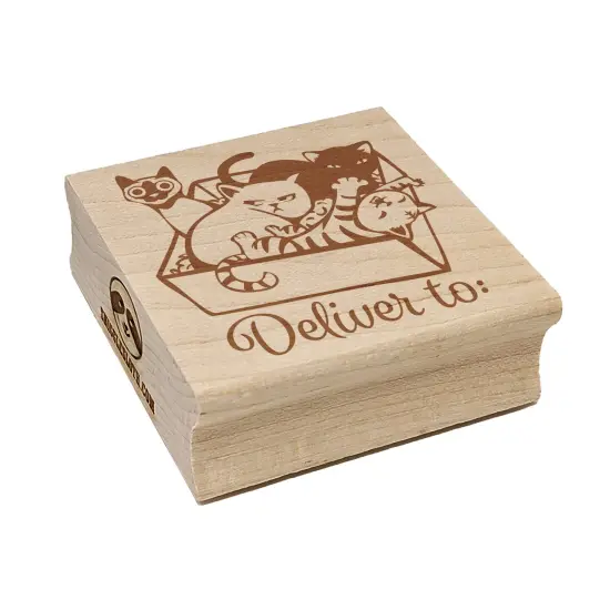 Box of Cats Kittens Deliver To Square Rubber Stamp for Stamping Crafting {7}