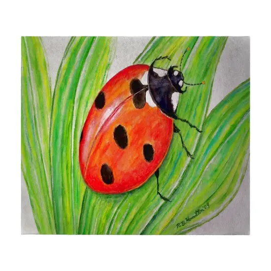 Betsy Drake Lady Bug 30 X 50 Inch Comfort Floor Mat {1}