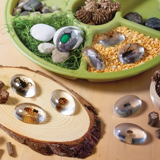 Kaplan Early Learning Company Specimen Stones: Bugs - 9 Pieces {7}