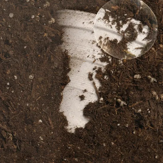 Educational Insights See-Through Composter {7}