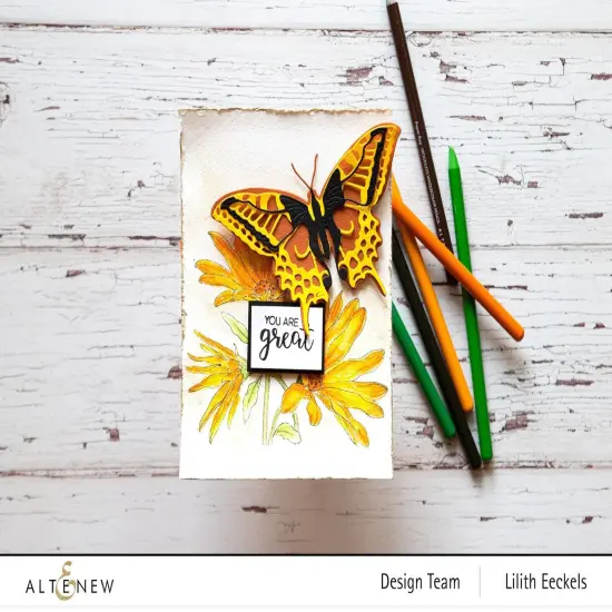 Swallowtail Butterfly Die Set {5}