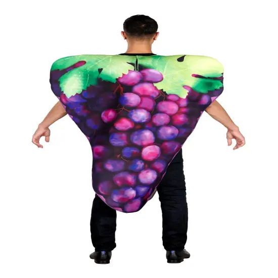 Purple Grapes Adult Costume | One Size {3}