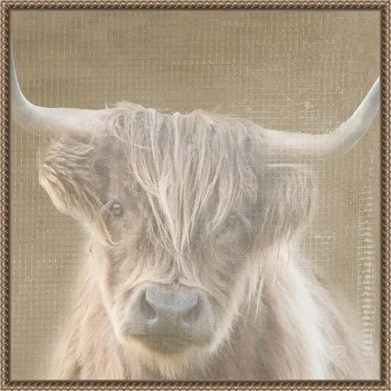 Soulful Bull by Patricia Pinto Framed Canvas Wall Art {7}
