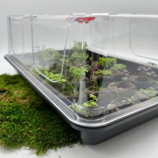 Mini Greenhouse - Grow 28 plants LARGE {3}