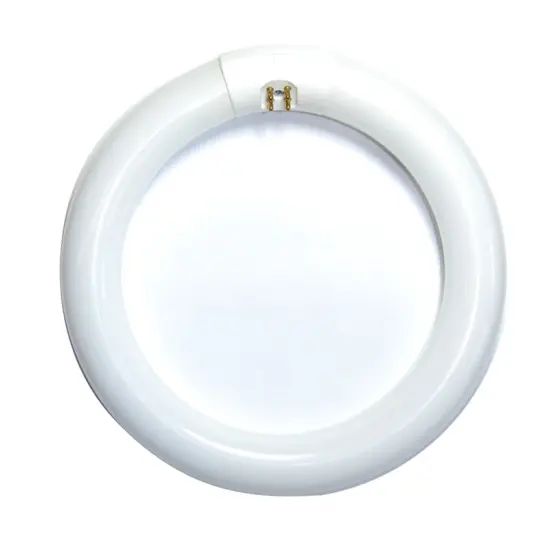 Satco S6500 FC8T9 22w T9 8 inch 3000K Soft White G10Q Circline Fluorescent Bulb {1}