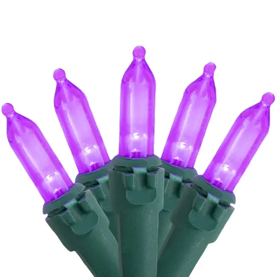 Northlight LED Mini Christmas Lights - Purple - 16.25' Green Wire - 50ct {3}