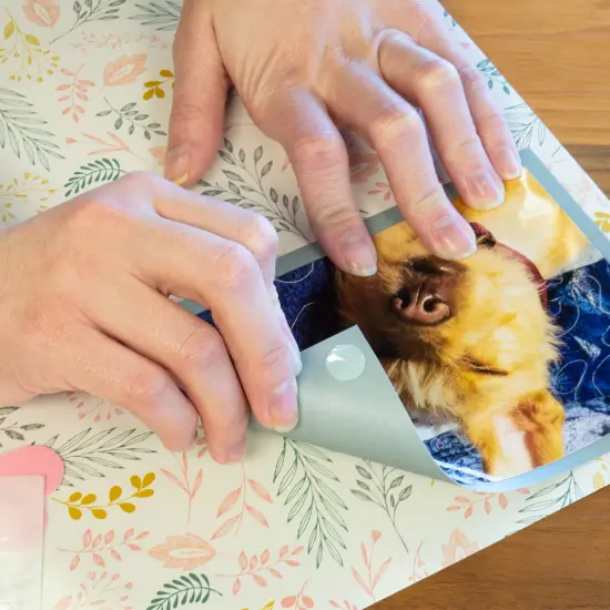 150 PCS Permanent Adhesive Dots, Double-Sided, 0.5" Diameter, Clear, (Pack of 1) {6}