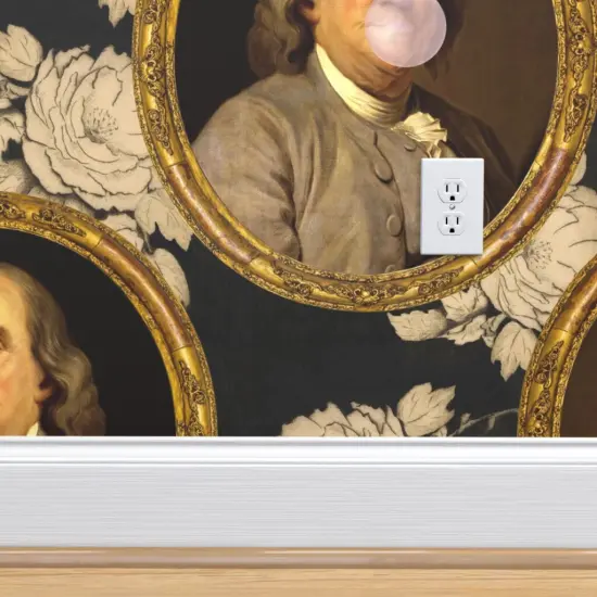 Pre-Pasted Wallpaper 2FT Wide Benjamin Franklin Portrait Historical Botanical Gum Custom Pre-pasted Wallpaper by Spoonflower {4}