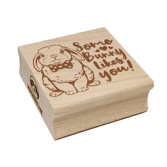 Some Bunny Likes You Valentine's Day Rabbit Love Square Rubber Stamp for Stamping Crafting {7}