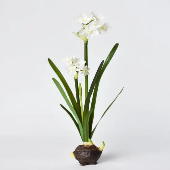 17.5" Faux Paperwhites w/ Bulb {1}