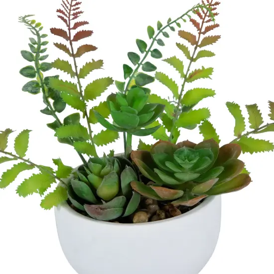 Northlight Potted Artificial Mixed Succulent Fern Plant - 11.5" Green {5}