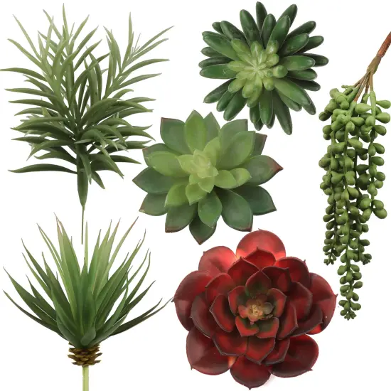 Six Pack Succulent Set, 6 Individual Picks, Natural Sized Artificial Plants, Aloe, Hanging Pearl for Arrangements, Pots, and School Projects, Floral Home by Artificial Flowers {1}