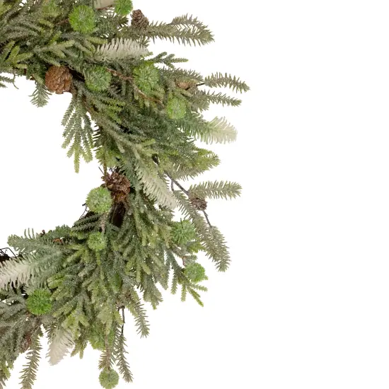 Northlight Artificial Christmas Wreath with Frosted Foliage and Pine Cones - 24" - Unlit Green {5}