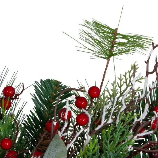 Northlight Dual Plaid and Berries Artificial Christmas Wreath - 24" - Unlit Green {4}