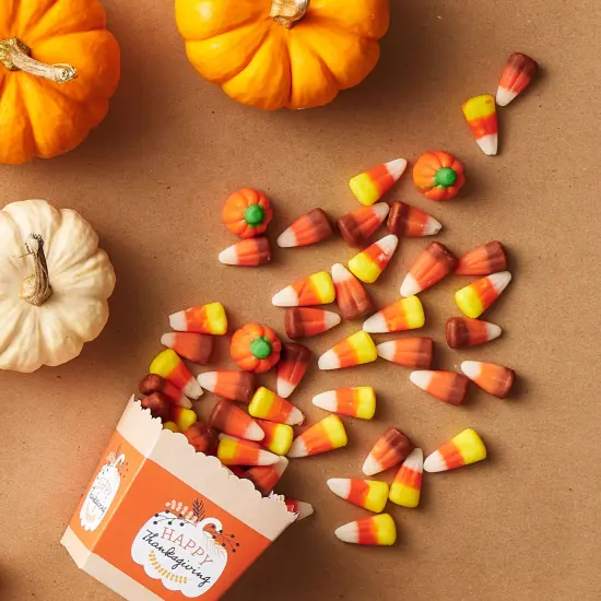 Big Dot of Happiness Happy Thanksgiving - Party Mini Favor Boxes - Fall Harvest Party Treat Candy Boxes - Set of 12 {3}